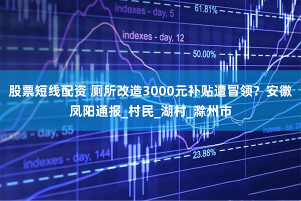股票短线配资 厕所改造3000元补贴遭冒领？安徽凤阳通报_村民_湖村_滁州市