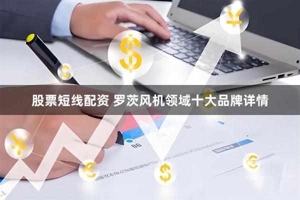 股票短线配资 罗茨风机领域十大品牌详情